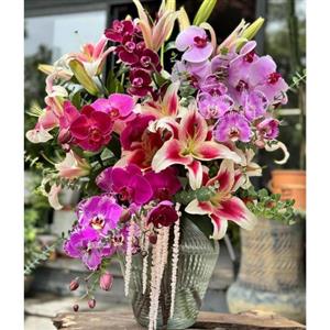 گل فروشی محدوده خیابان رودکی تهران t6778