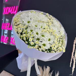 گل فروشی اطراف شرکت تارانام آسیا محله شهرک آزمایش تهران t7723