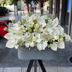 گل فروشی اطراف شرکت پایداران محله شیراز تهران t7691