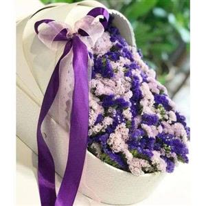 گل کریر خارجی d74