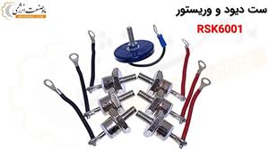 ست دیود و وریستور RSK6001