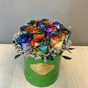  گل رز هفت رنگ طبیعی a209