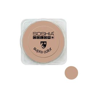 کرم پودر فشرده سوشیا شماره B4