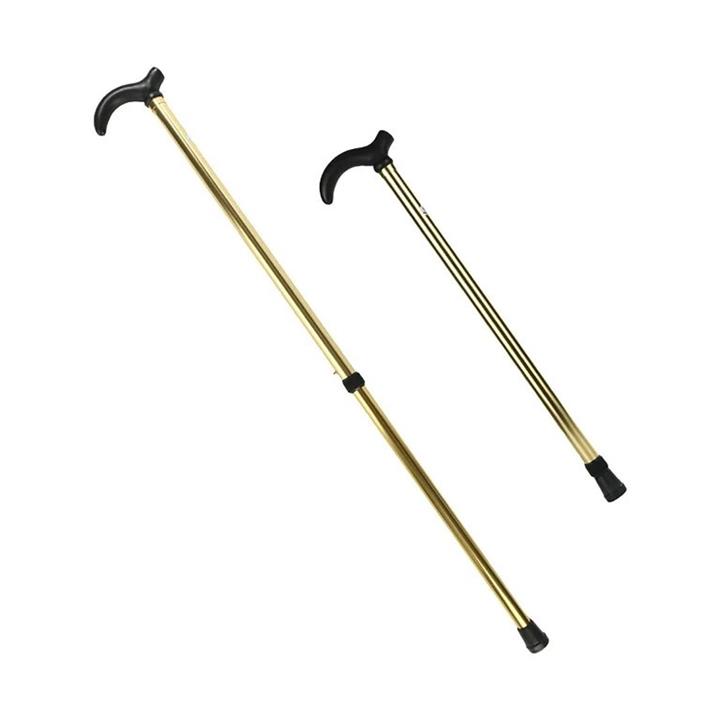 عصای کوهنوردی  مدل ریلی کد R60