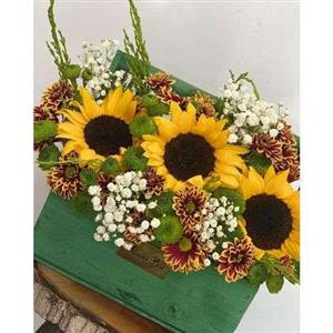  باکس گل آفتابگردان 30387