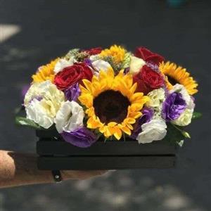  گل آفتابگردان طبیعی 30392