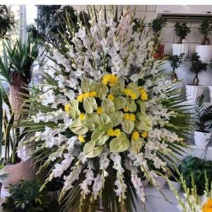 تاج گل در بهشت زهرا1008
