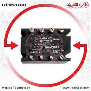 رله چپ گرد راست گرد سه فاز A012S25 گانتر Gunther