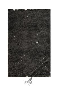 شگی ویکتوریا 991