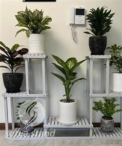 استند گل ستیا کد 272