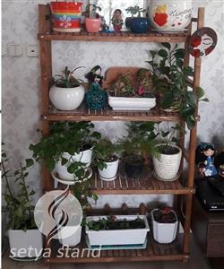 استند گل ستیا کد 259