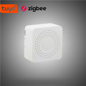 رله دو کانال پشت کلیدی Zigbee