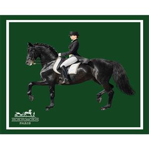 شال مبل مدل هرمس کد SM0002