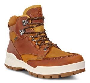 ECCO Men's Track 25 High Winter Boot 