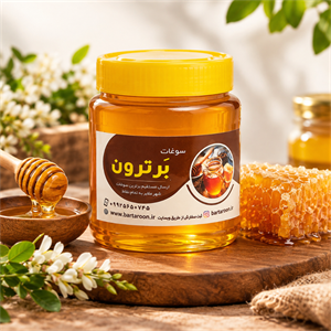 عسل ارگانیک کوهستان ملایر (شیرتیزه) (با وزن 500 گرم)