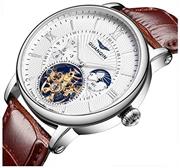 Fanmis Brown Leather Strap Men Tourbillon Luminous Automatic Watch Skeleton Moon Phase Waterproof White -S