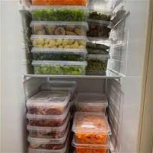 ظرف فریزری کد 550