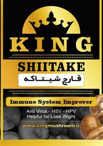 قارچ خشک شیتاکه 1000 گرمی