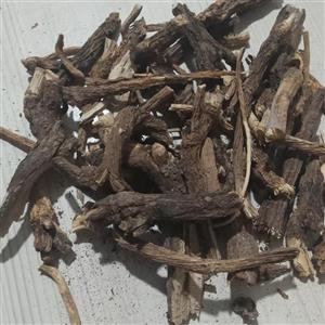 کاسنی شاهتره یک کیلو