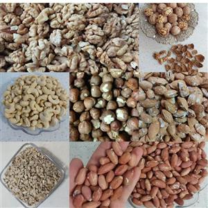 بادام هندی و فندوق بادام استانه