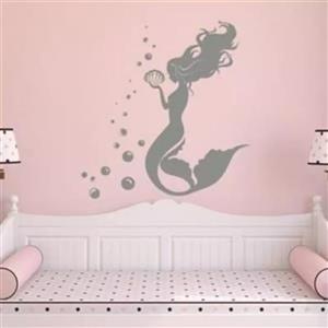 اینه پدیده پلاس مدل پری