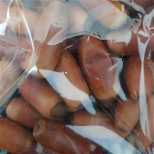 میوه بلوط (500گرمی)