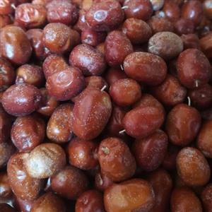 سنجد 450گرمی