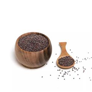 خردل سیاه(100 گرم) آقای عطار