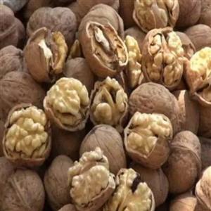 گردو تازه امسال