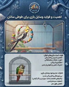 تاب بازی پرندگان