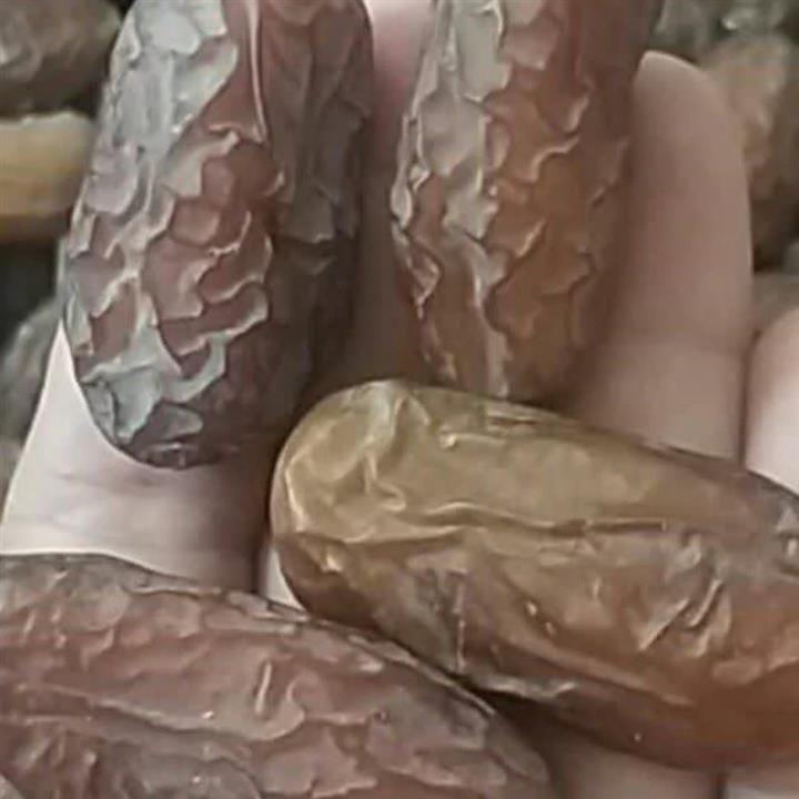 خرما پیارم فله ای