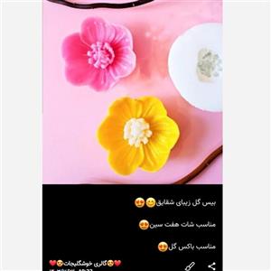 بیس خام گل شقایق