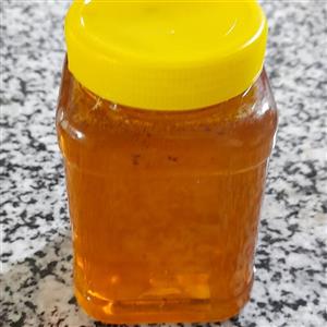 عسل آویشن فله ای