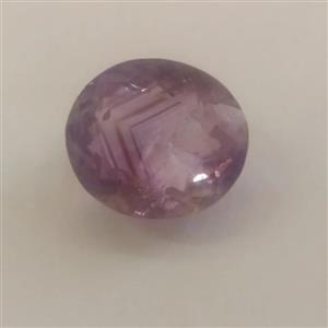 اماتیس برزیلی فوق العاده خوش تراش و  خوش رنگ و زیبا کد 204