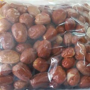 سنجد ارگانیک