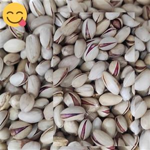 پسته اکبری خام فله