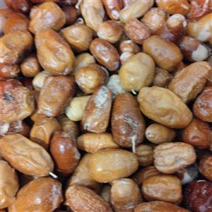 سنجددرشت امسالی پرگوشت نرم