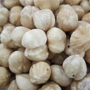 مغز فندق خام ترکیه
