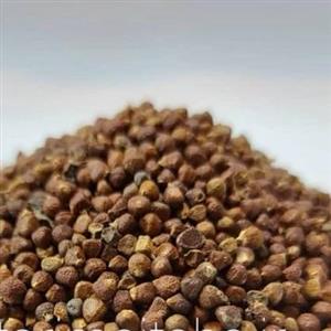 تین فین شامی 100گرمی