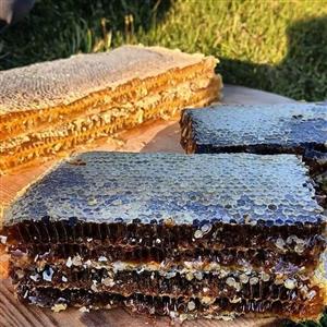 عسل درجه یک طبیعی موم دار با شان  محصول ارگانیک دامنه های پاک سبلان(تولیدی زنبوردار)