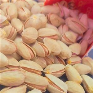 پسته اکبری خام فله