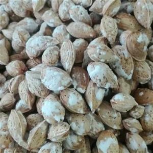بادام منقا نمکی ممتاز پاکار حجم 500 گرم
