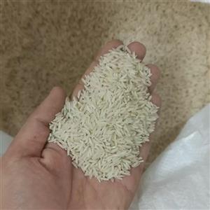 برنج شیرودی فوق اعلاء