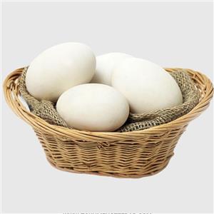تخم غاز بسته 10تایی طیورمحیا