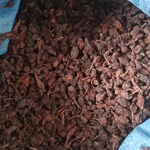 غوره خشک ترش هسته دار در بسته بندی پنج کیلویی  دیم دشمن زیاری