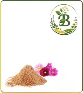عصاره ختمی رنگی خشک یا پودری
