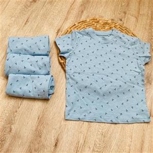 تیشرت استین کوتاه ابی اسمانی