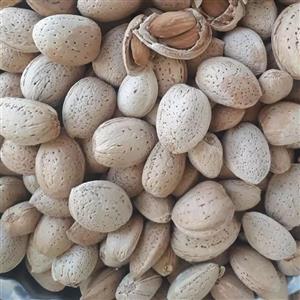 بادام درختی ساوه (بادام سنگی) یک کیلویی سالم و خوشمزه. بدون خرابی. 1000 گرمی