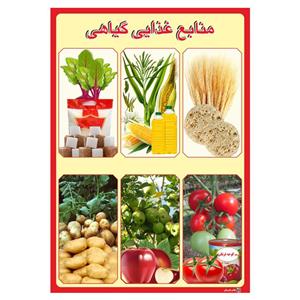 پوستر آموزشی چاپ پارسیان طرح منابع غذایی گیاهی کد 007 
