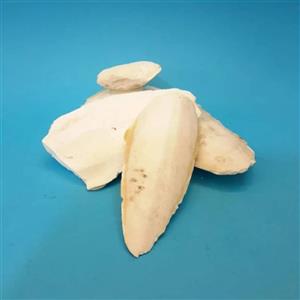 کف دریا نسابیده عطارلند 100 گرمی